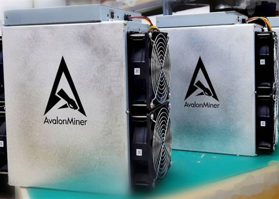 3420W a employé le mineur Machine Canaan Avalon de Bitcoin 1246 90TH/S SHA256d 12.8kg
